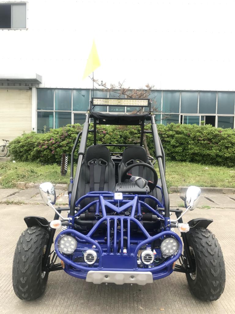 Trailmaster 200 XRX EFI Adult Go-Kart Buggy