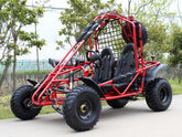 DongFang Spider 200 Adult Go-Kart Buggy