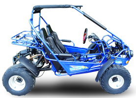 Trailmaster 300 XRS EFI Adult Go-Kart Buggy