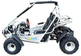 Trailmaster 300 XRS EFI Adult Go-Kart Buggy