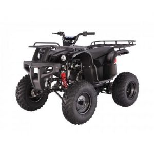 Tao Tao Bull 150 Adult Quad ATV