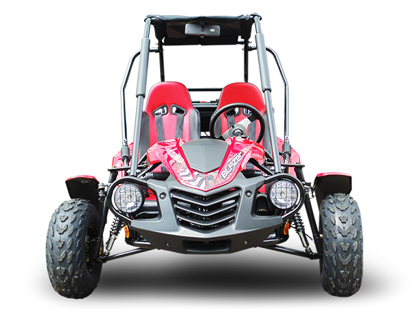 Trailmaster Blazer 200 Adult Go-Kart Buggy