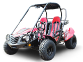 Trailmaster Blazer 200 Adult Go-Kart Buggy
