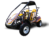 Trailmaster Blazer 200R Youth Go-Kart Buggy