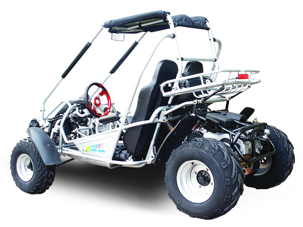 Trailmaster 300cc XRX, XRS Go-Kart Buggy Engine