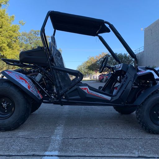 Trailmaster Cheetah 300E EFI Adult Go-Kart Buggy