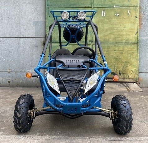 Dongfang DF200GVA Falcon Jr. Children's Go-Kart Buggy, 4-Stroke 196cc