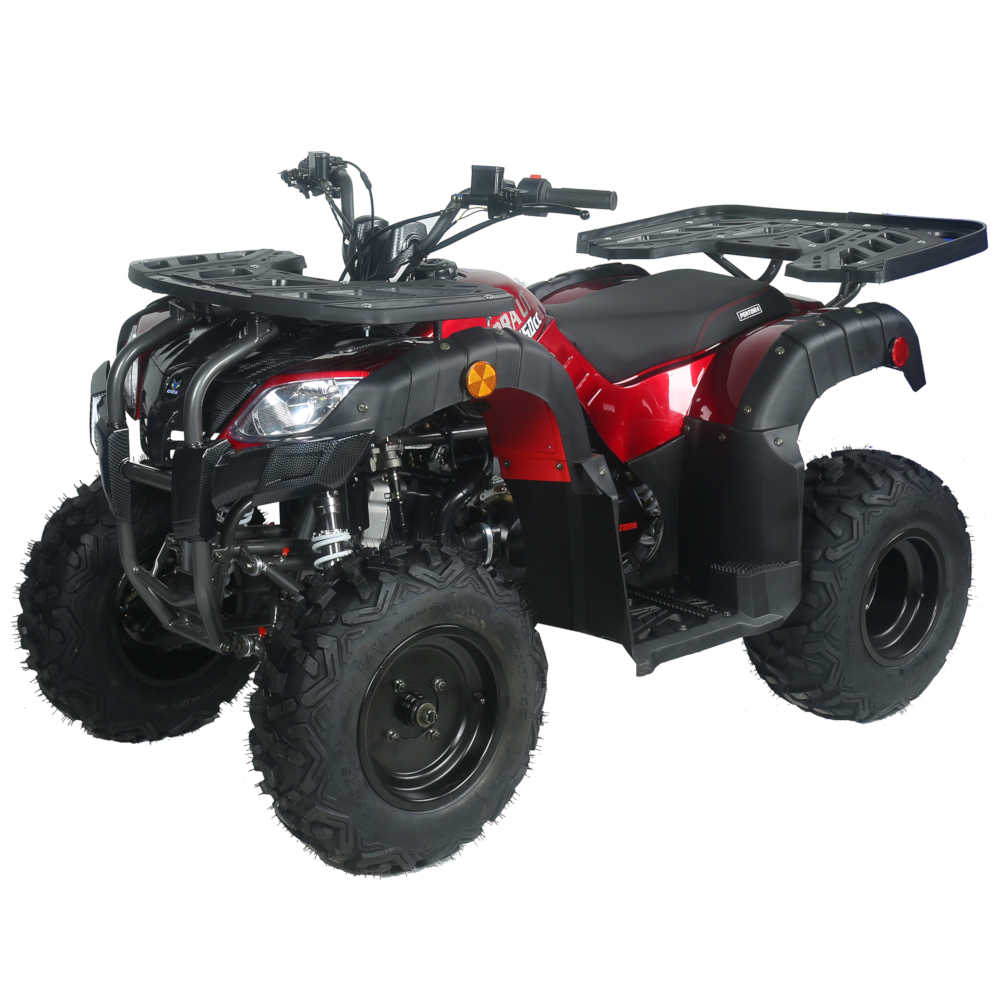 Pentora 250 Utility Adult ATV