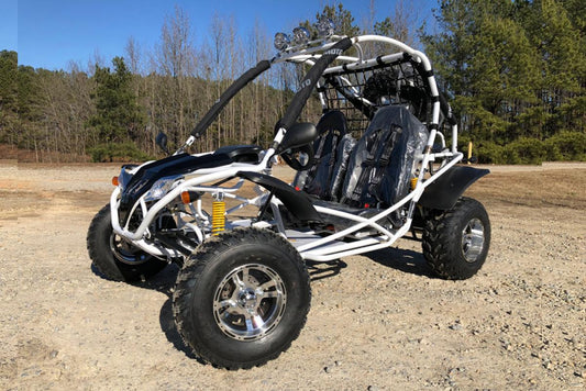 Dongfang Falcon Adult Go-Kart Buggy DF200GKA, Big Bore 200 PowerStroke