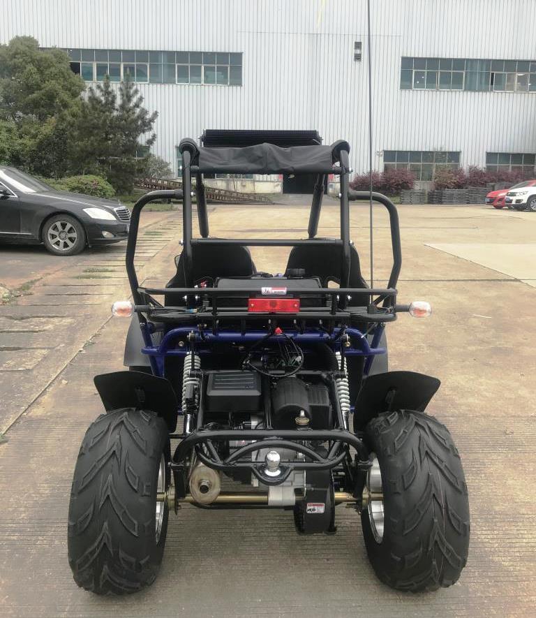 Trailmaster 200 XRX EFI Adult Go-Kart Buggy