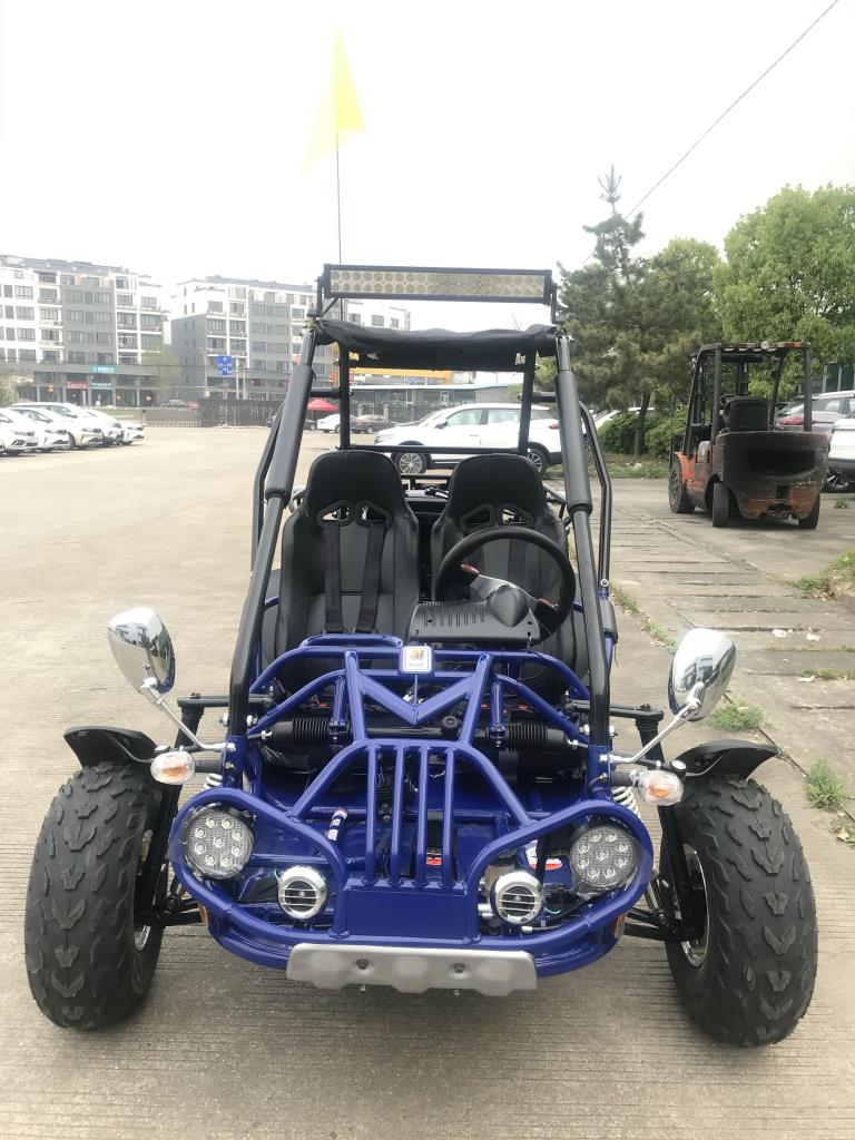 Trailmaster 200 XRX EFI Adult Go-Kart Buggy