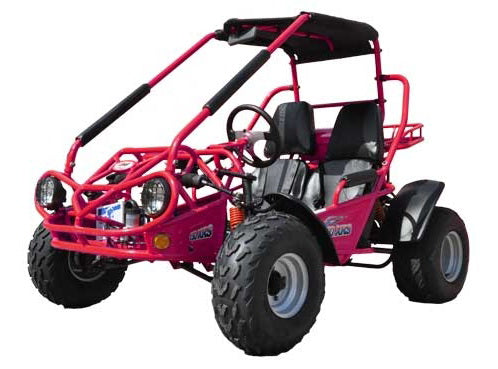 Trailmaster 200 XRS Adult Go-Kart Buggy