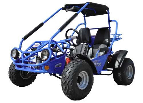 Trailmaster 200 XRS Adult Go-Kart Buggy