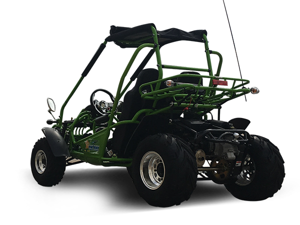 Trailmaster 200 XRX Adult Go-Kart Buggy