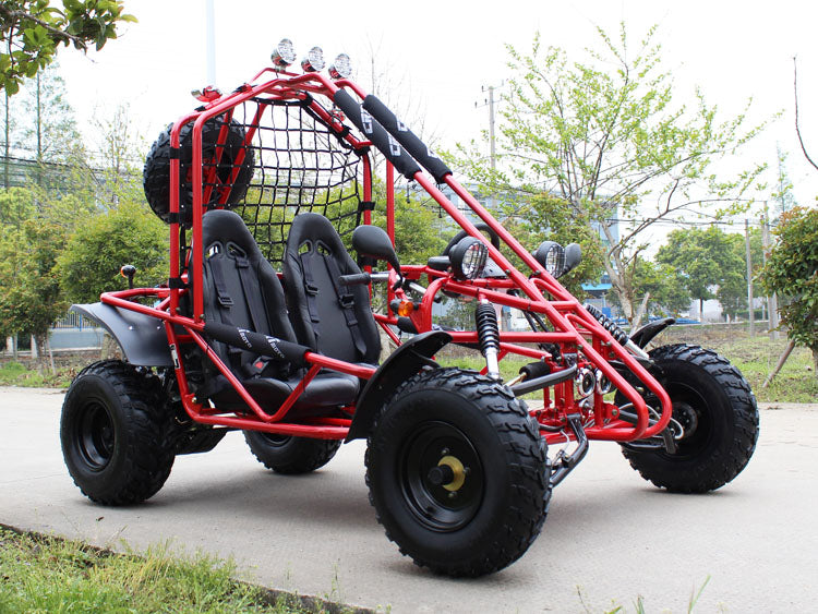 DongFang Spider 200 Adult Go-Kart Buggy