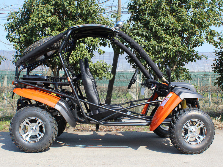 Dongfang Raptor Adult Go-Kart Buggy DF200GKR, Big Bore 200 PowerStroke