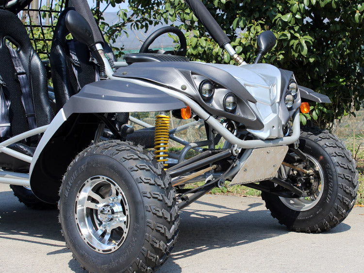 Dongfang Raptor Adult Go-Kart Buggy DF200GKR, Big Bore 200 PowerStroke