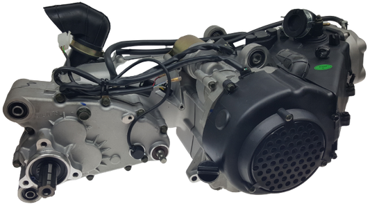 Pentora 200 ATV Engine, GY6 150cc, 175cc, 232cc
