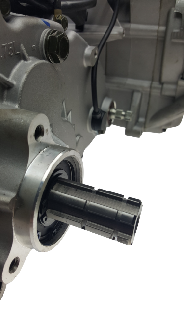 BMS Avenger 150 GY6 Engine with Internal Reverse 150cc, 175cc, 232cc