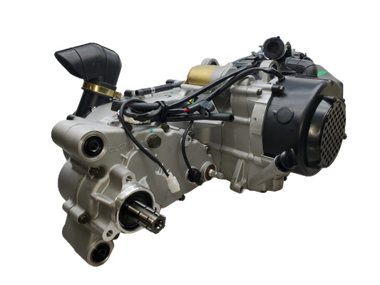 Trailmaster Blazer Go-Kart GY6 Engine, 150XRX, 150XRS, 150TBM 150cc, 175cc, 232cc