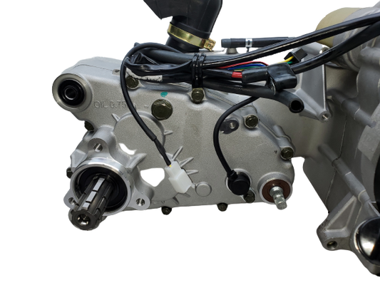 BMS King Cobra 150 GY6 Engine with Internal Reverse 150cc, 175cc, 232cc