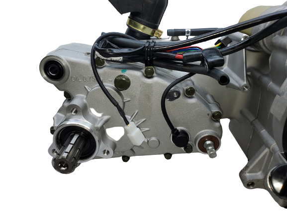 Trailmaster Cheeta 150X GY6 Go-Kart Engine 150cc, 175cc, 232cc