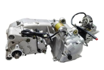 Trailmaster 300cc XRX, XRS Go-Kart Buggy Engine