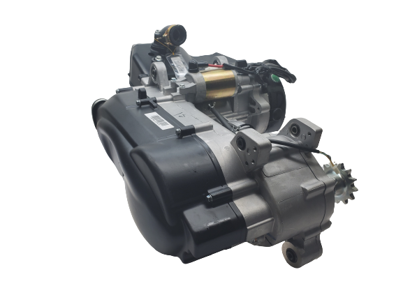 Yerf Dog Spiderbox 232cc GY6 Go-Kart Engine Swap with Internal Reverse