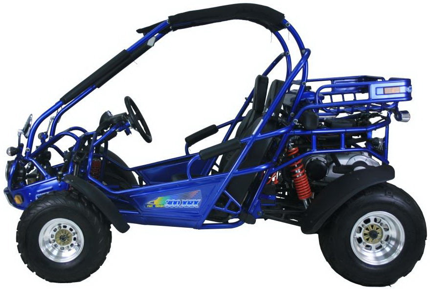 Trailmaster 300 XRX EFI Adult Go-Kart Buggy
