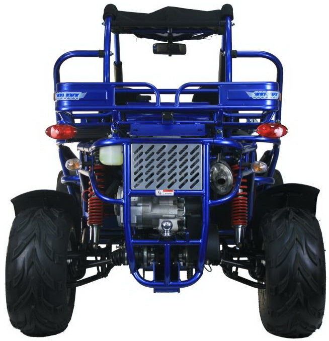 Trailmaster 300 XRX EFI Adult Go-Kart Buggy