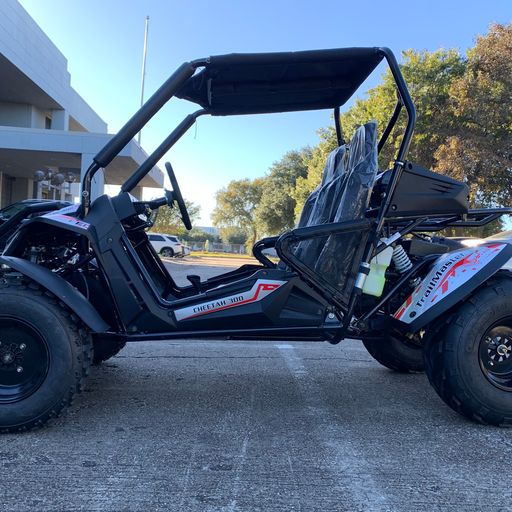 Trailmaster Cheetah 300E EFI Adult Go-Kart Buggy