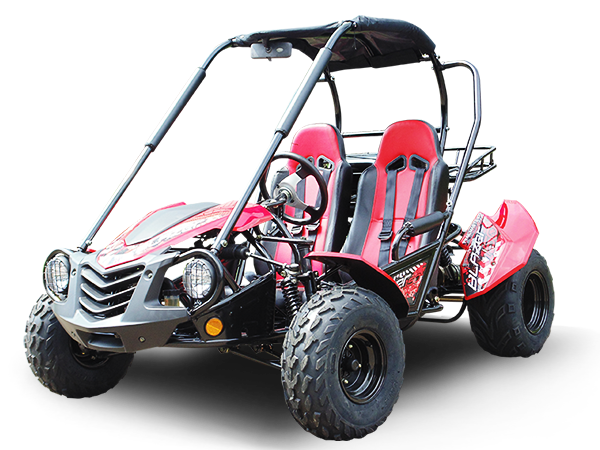 Trailmaster Blazer 200 Adult Go-Kart Buggy