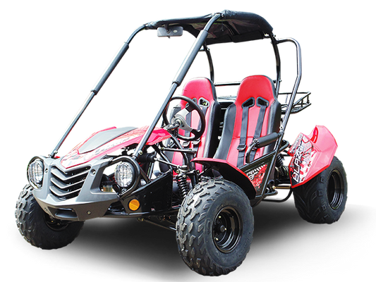 Trailmaster Blazer 200 Adult Go-Kart Buggy
