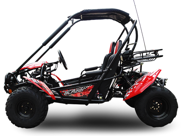 Trailmaster Blazer 200 Adult Go-Kart Buggy