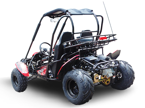 Trailmaster Blazer 200 Adult Go-Kart Buggy