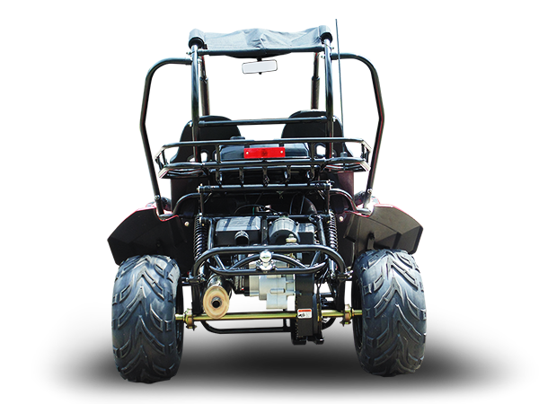 Trailmaster Blazer 200 Adult Go-Kart Buggy