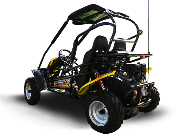 Trailmaster Blazer 200R Youth Go-Kart Buggy
