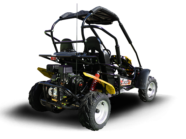 Trailmaster Blazer 200R Youth Go-Kart Buggy