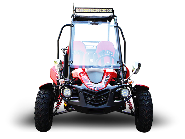 Trailmaster Blazer 200X Adult Go-Kart Buggy