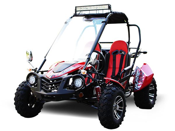 Trailmaster Blazer 200X Adult Go-Kart Buggy