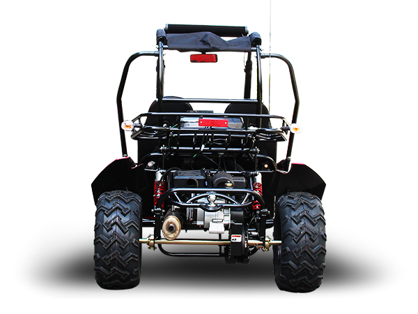 Trailmaster Blazer 200X Adult Go-Kart Buggy
