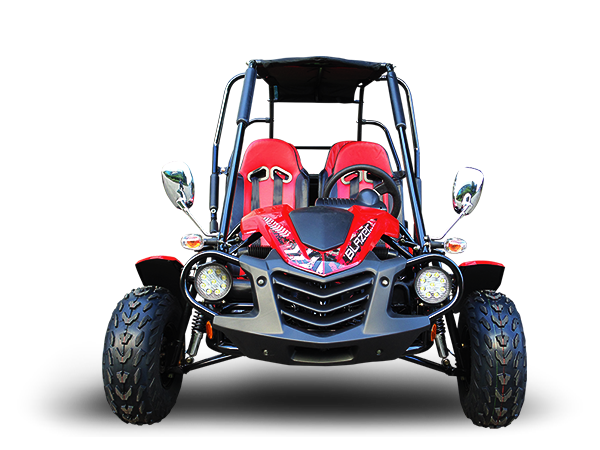 Trailmaster Blazer4 200X Adult Go-Kart Buggy