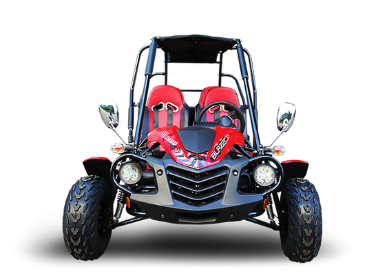 Trailmaster Blazer4 200X Adult Go-Kart Buggy