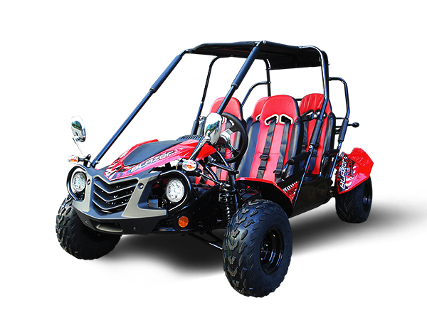 Trailmaster Blazer4 200X Adult Go-Kart Buggy
