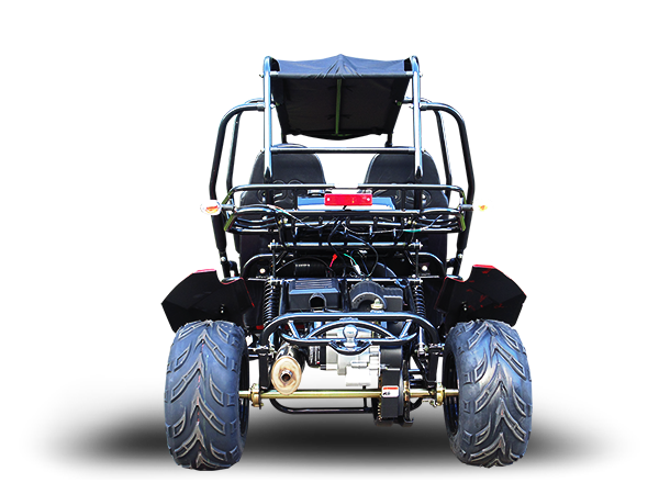 Trailmaster Blazer4 200X Adult Go-Kart Buggy