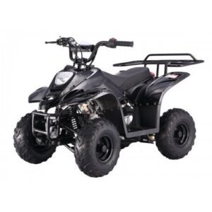 Tao Tao B110 Children's ATV, 4-Stroke 110cc