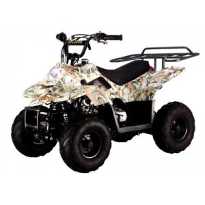 Tao Tao B110 Children's ATV, 4-Stroke 110cc