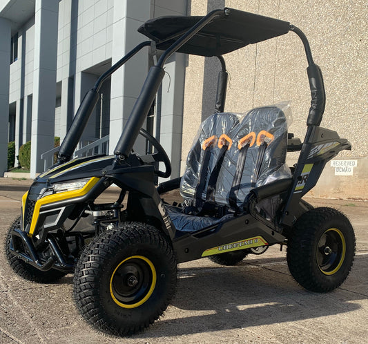 Trailmaster Cheetah 6 Children's Go-Kart Buggy, 4-Stroke 163cc