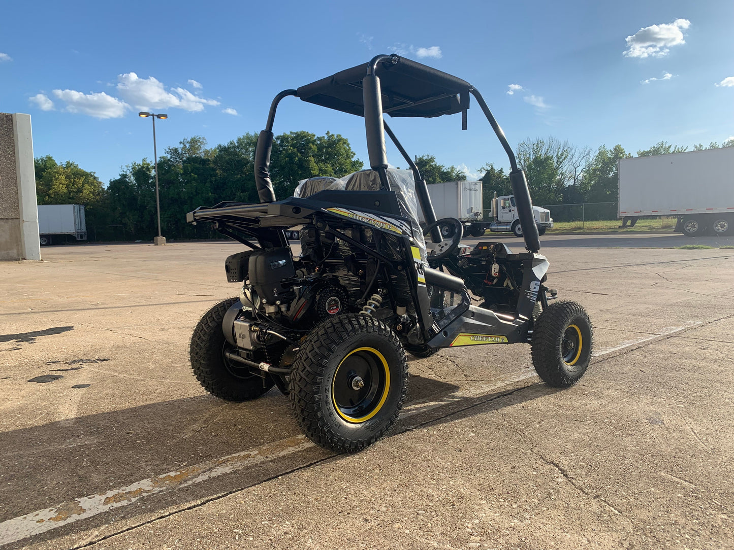 Trailmaster Cheetah 6 Children's Go-Kart Buggy, 4-Stroke 163cc