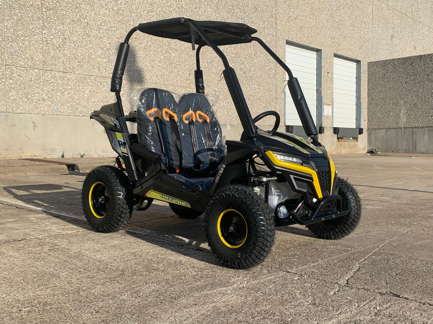 Trailmaster Cheetah 6 Children's Go-Kart Buggy, 4-Stroke 163cc